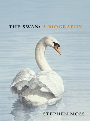 cover image of The Swan